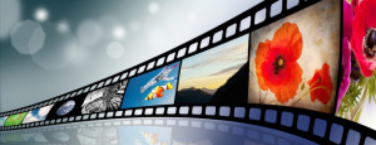 documentary videos free download
