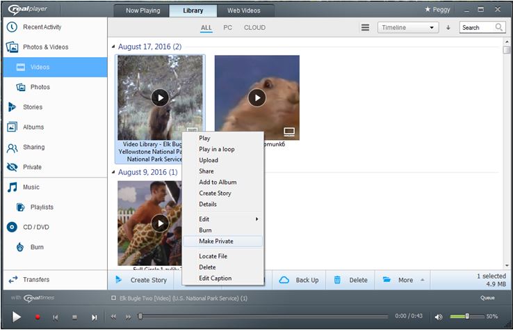 realplayer video downloader free download for windows xp