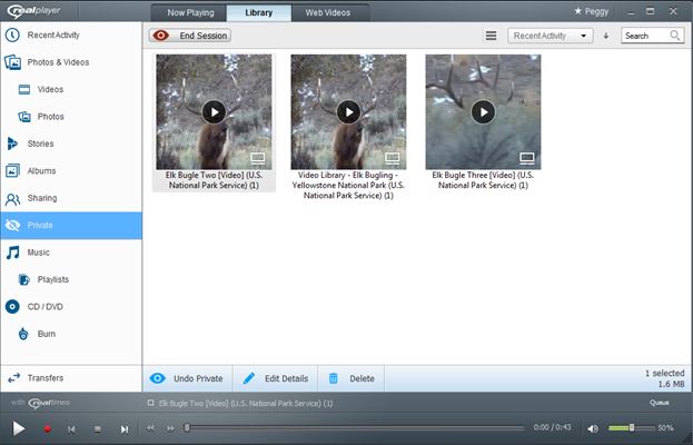 realplayer downloader free download for windows 10 realplayer downloader free download for windows 10