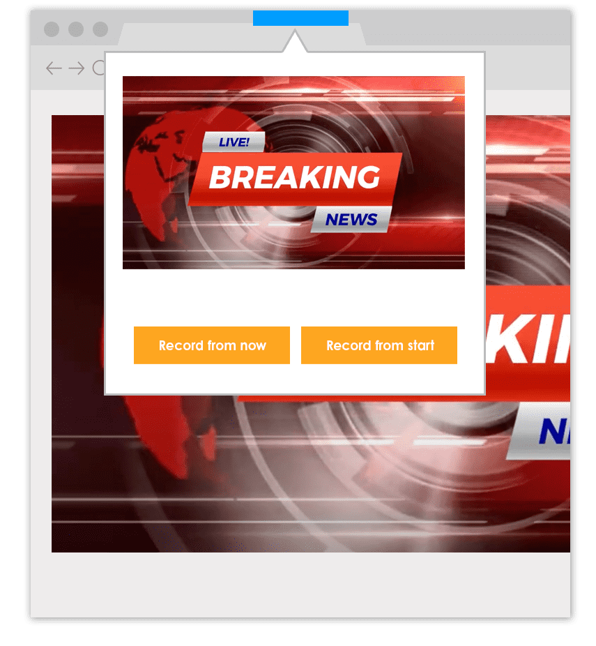 RealPlayer Downloader Nub
